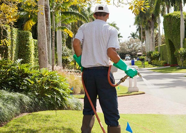 About Owensville OH Pest Control